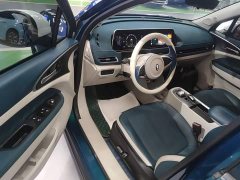 ORA Good Cat 400km Standard Range Deluxe Edition LFP Battery - ფოტო 15