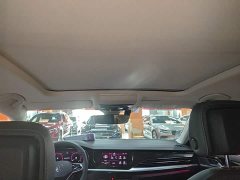 Volkswagen Passat 380TSI Starry Sky Dragon Prestige Edition - ფოტო 17