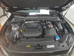 Volkswagen Passat 380TSI Starry Sky Dragon Prestige Edition - ფოტო 19