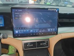 BYD Song L DM-i Smart Drive 112km Exceed - ფოტო 12