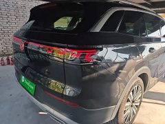 Volkswagen Lanxun 330TSI Luxury Touring Edition - ფოტო 7