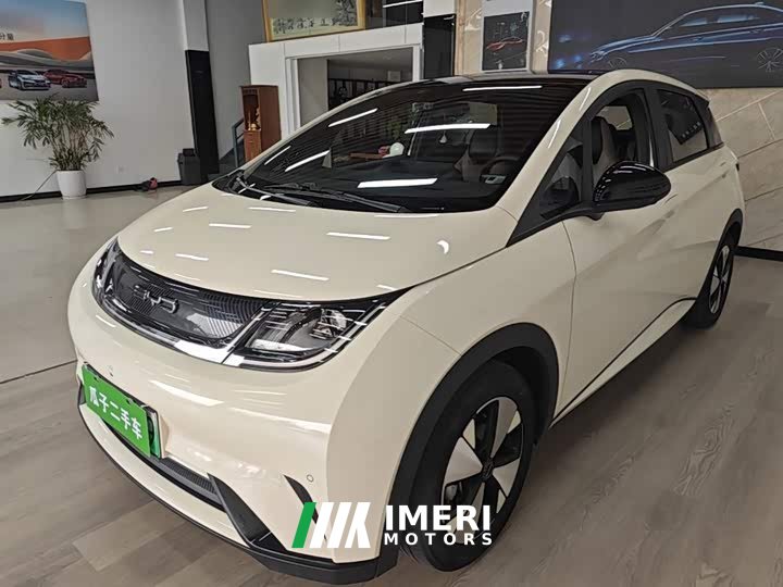 BYD Dolphin 420km Fashion Edition - ავტომობილი ჩინეთიდან