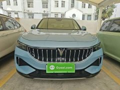 Voyah Lantu FREE Four-Wheel Drive Standard Extended Range Exclusive Luxury Package - ფოტო 2