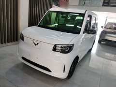 Wuling Zhiguang New Energy 201km Standard - ფოტო 1