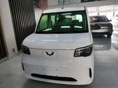 Wuling Zhiguang New Energy 201km Standard - ფოტო 2