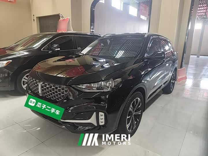 Great Wall WEY VV6 2.0T Two-Wheel Drive Smart Protection