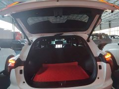 Haval Divine Beast 1.5T Smart Enjoy Edition - ფოტო 18