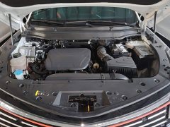 Haval Divine Beast 1.5T Smart Enjoy Edition - ფოტო 19