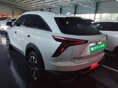 Haval Divine Beast 1.5T Smart Enjoy Edition - ფოტო 4