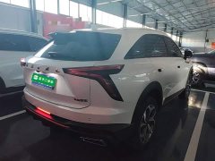 Haval Divine Beast 1.5T Smart Enjoy Edition - ფოტო 6