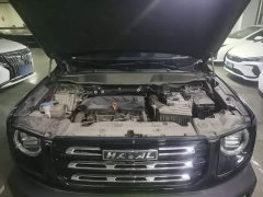 Great Wall Dachshund 2021 Facelift 1.5T DCT Two-Wheel Drive Malinois Edition - ფოტო 19