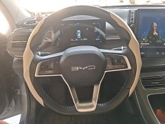 BYD Destroyer 05 Glory Edition DM-i 55KM Luxury - ფოტო 10