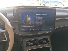 BYD Destroyer 05 Glory Edition DM-i 55KM Luxury - ფოტო 12