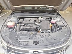 BYD Destroyer 05 Glory Edition DM-i 55KM Luxury - ფოტო 19