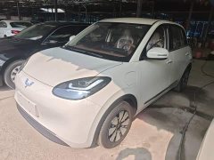 Wuling Binguo 2025 333km Joy Edition - ფოტო 1