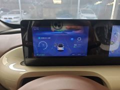 Wuling Binguo 2025 333km Joy Edition - ფოტო 11