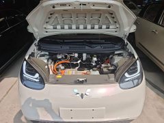 Wuling Binguo 2025 333km Joy Edition - ფოტო 19