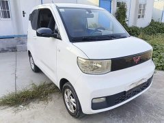 Wuling Hongguang MINIEV 2020 Zizai Trim Ternary Lithium - ფოტო 3