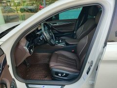 BMW 5 Series 530Li Premier M Sport Package - ფოტო 14