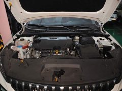 Geely Binrui COOL 1.5T DCT Champion Edition - ფოტო 10