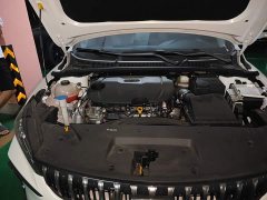 Geely Binrui COOL 1.5T DCT Champion Edition - ფოტო 18