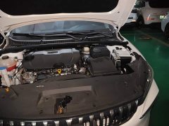 Geely Binrui COOL 1.5T DCT Champion Edition - ფოტო 19
