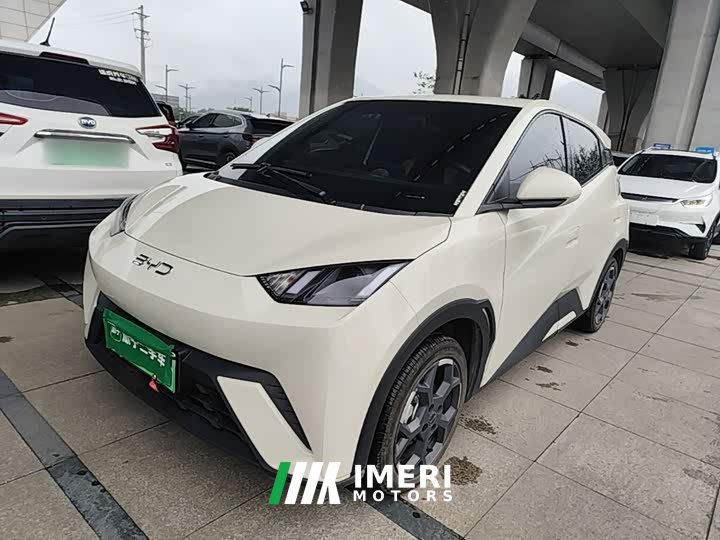BYD Seagull Glory Edition 305km Vitality Version - ავტომობილი ჩინეთიდან