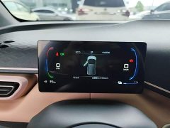 BYD Seagull Glory Edition 305km Vitality Version - ფოტო 11