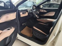 BYD Seagull Glory Edition 305km Vitality Version - ფოტო 15