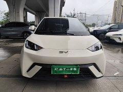 BYD Seagull Glory Edition 305km Vitality Version - ფოტო 2