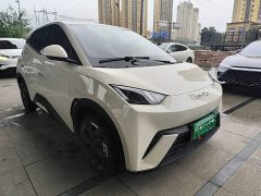 BYD Seagull Glory Edition 305km Vitality Version - ფოტო 3