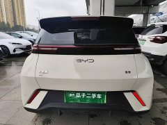 BYD Seagull Glory Edition 305km Vitality Version - ფოტო 5