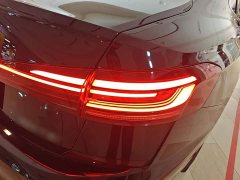 Volkswagen Passat Outstanding Edition 380TSI Starry Sky Dragon Ascendant Version - ფოტო 7