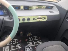 Wuling Hongguang MINIEV 2020 Zizai Edition LFP Battery - ფოტო 12