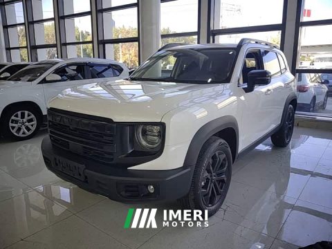 2023 Great Wall Dachshund 2024 1.5T DCT Border Collie Edition - ავტომობილი ჩინეთიდან