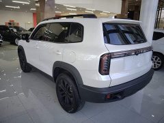 Great Wall Dachshund 2024 1.5T DCT Border Collie Edition - ფოტო 4