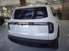 Great Wall Dachshund 2024 1.5T DCT Border Collie Edition - ფოტო 5