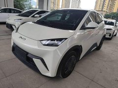 BYD Seagull 2025 305km Vitality Edition - ფოტო 1
