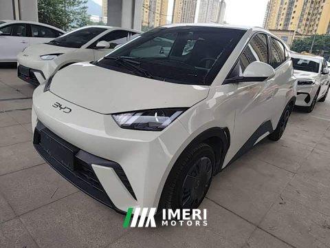 2024 BYD Seagull 2025 305km Vitality Edition - ავტომობილი ჩინეთიდან