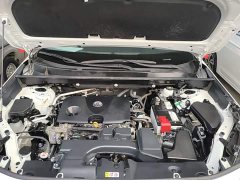 Toyota RAV4 2.0L CVT FWD 20th Anniversary Platinum Edition - ფოტო 19