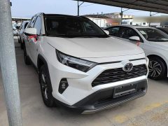 Toyota RAV4 2.0L CVT FWD 20th Anniversary Platinum Edition - ფოტო 3