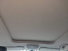 FAW Red Flag HS7 PHEV 2.0T PHEV AWD Flagship Comfort 7-Seater - ფოტო 17