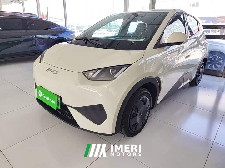 BYD Seagull 2025 Smart Drive 305km Vitality Edition - ავტომობილი ჩინეთიდან