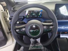 BYD Seagull 2025 Smart Drive 305km Vitality Edition - ფოტო 10