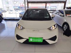 BYD Seagull 2025 Smart Drive 305km Vitality Edition - ფოტო 2