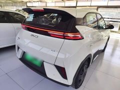 BYD Seagull 2025 Smart Drive 305km Vitality Edition - ფოტო 6