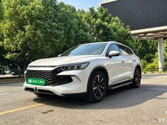 BYD Song Pro New Energy DM-i 71KM Glory Edition Pilot - ფოტო 1