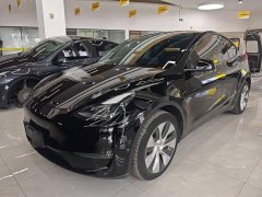 Tesla Model Y Long Range All-Wheel Drive - ფოტო 1