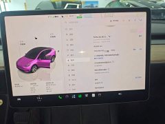 Tesla Model Y Long Range All-Wheel Drive - ფოტო 11