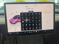 Tesla Model Y Long Range All-Wheel Drive - ფოტო 12